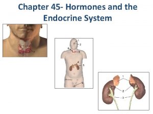 Chapter 45 Hormones and the Endocrine System Hormones