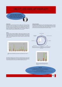 OBESITY AND KNEE ARTHROPLASTY Anette Liljense MSc Ph