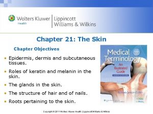 Chapter 21 The Skin Chapter Objectives Epidermis dermis