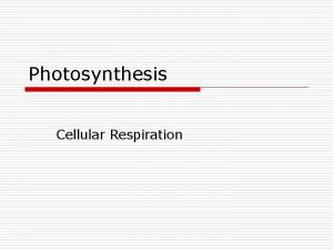 Photosynthesis Cellular Respiration Respiration o Process by which