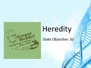 Heredity State Objective 3 d DNA Deoxyribonucleic acid