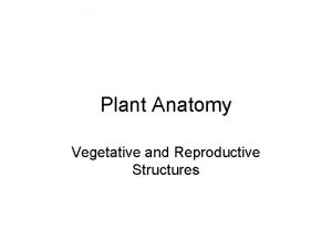 Plant Anatomy Vegetative and Reproductive Structures What are