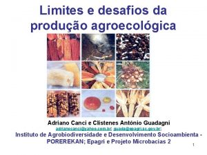 Limites e desafios da produo agroecolgica Adriano Canci