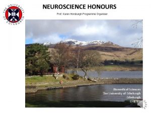 NEUROSCIENCE HONOURS Prof Karen Horsburgh Programme Organiser Biomedical