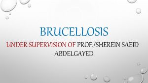 BRUCELLOSIS UNDER SUPERVISION OF PROF SHEREIN SAEID ABDELGAYED