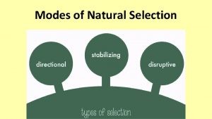 Modes of Natural Selection With polygenic traits natural