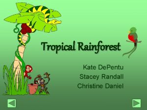 Tropical Rainforest Kate De Pentu Stacey Randall Christine