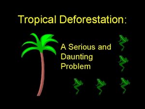 Tropical Deforestation A Serious and Daunting Problem Tropical