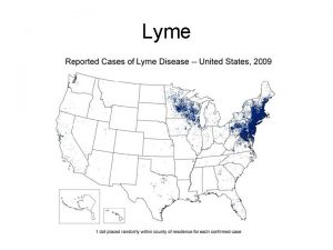 Lyme Lyme Darkfield SEM Lyme outer membrane lipoproteins