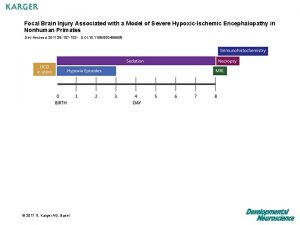 Focal Brain Injury Associated with a Model of