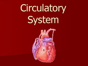 Circulatory System Circulatory System The circulatory system works