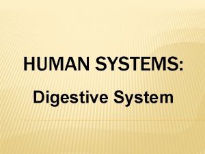 HUMAN SYSTEMS Digestive System DIGESTIVE SYSTEM Digestion Absorption