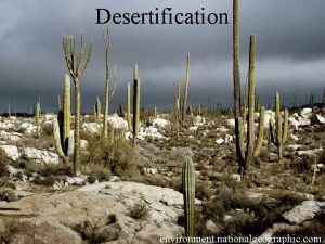 Desertification environment nationalgeographic com Desertification Deserts areas of