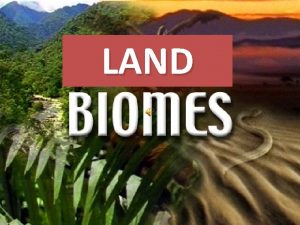 LAND Worlds Land Biomes Tundra Taiga Alpine Deciduous