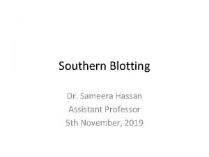 Southern Blotting Dr Sameera Hassan Assistant Professor 5