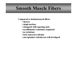 Smooth Muscle Fibers Compared to skeletal muscle fibers