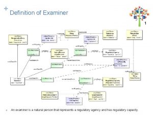 Definition of Examiner 1 v An examiner is