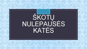 KOT NULEPAUSS KATS C kot nulepauss kats kai