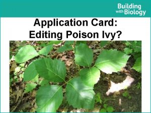 Application Card Editing Poison Ivy Application Card Editing