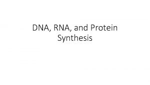 DNA RNA and Protein Synthesis Function of DNA