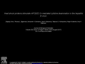 Heat shock proteins stimulate APOBEC3mediated cytidine deamination in