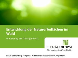 Entwicklung der Naturerbeflchen im Wald Umsetzung bei Thringen