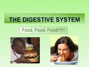 THE DIGESTIVE SYSTEM Food Food FUNCTION q Break