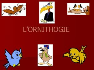 LORNITHOGIE Lornithologie questce cest l Lornithologie du grec