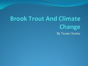 Brook Trout And Climate Change By Turner Sasina