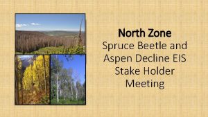 North Zone Spruce Beetle and Aspen Decline EIS