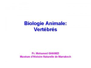 Biologie Animale Vertbrs Pr Mohamed GHAMIZI Musum dHistoire