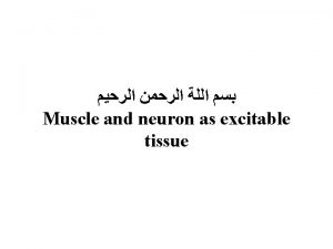 Muscle and neuron as excitable tissue In general