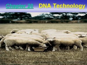 Chapter 20 DNA Technology DNA Cloning Gene cloning
