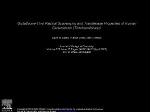 GlutathioneThiyl Radical Scavenging and Transferase Properties of Human