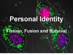 Personal Identity Fission Fusion and Survival Identity Problems