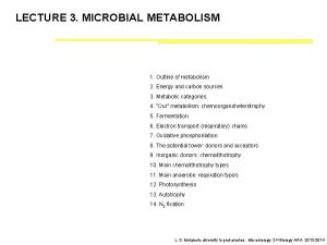 LECTURE 3 MICROBIAL METABOLISM 1 Outline of metabolism