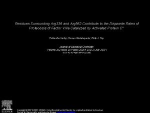Residues Surrounding Arg 336 and Arg 562 Contribute