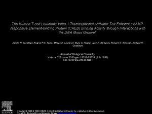 The Human Tcell Leukemia Virus1 Transcriptional Activator Tax