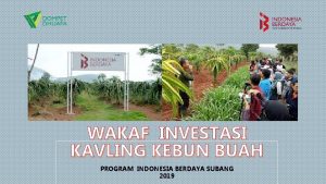 WAKAF INVESTASI KAVLING KEBUN BUAH PROGRAM INDONESIA BERDAYA