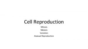 Cell Reproduction Mitosis Meiosis Variation Asexual Reproduction Quick