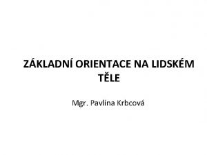 ZKLADN ORIENTACE NA LIDSKM TLE Mgr Pavlna Krbcov