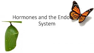 Hormones and the Endocrine System Vocabulary Endocrine System