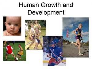 Human Growth and Development Areas of Human Development