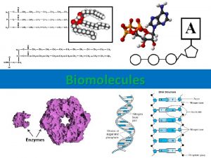 Biomolecules All living things need energy and nutrients