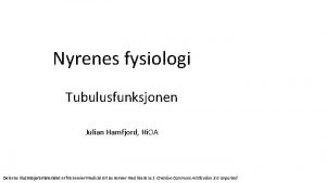 Nyrenes fysiologi Tubulusfunksjonen Julian Hamfjord Hi OA Deler