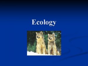 Ecology Ecology Introduction n What is Ecology n