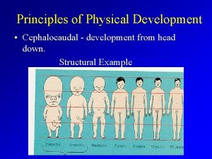 Principles of Physical Development Cephalocaudal development from head