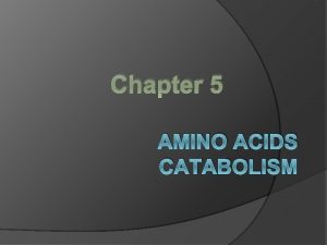 Chapter 5 AMINO ACIDS CATABOLISM Amino acids act