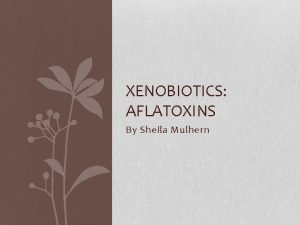 XENOBIOTICS AFLATOXINS By Sheila Mulhern Aflatoxins A naturally