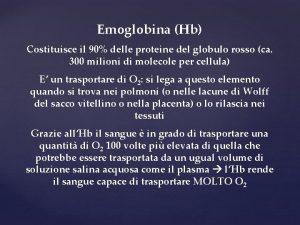 Emoglobina Hb Costituisce il 90 delle proteine del